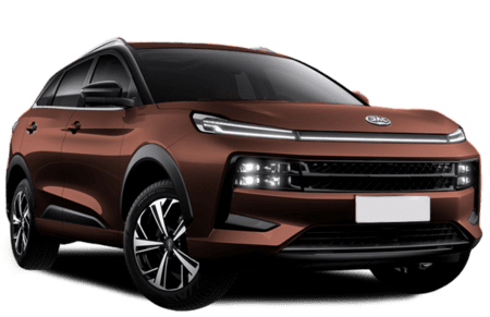 JAC S6 Коричневый