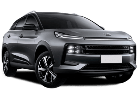 JAC S6 Серый