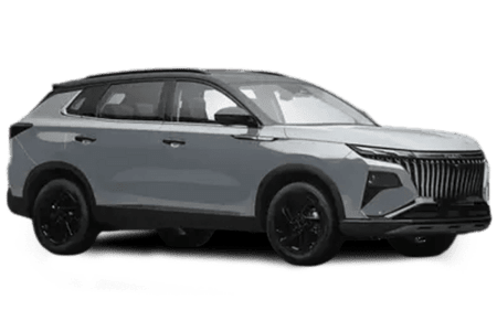 Dongfeng Хьюдж Серый